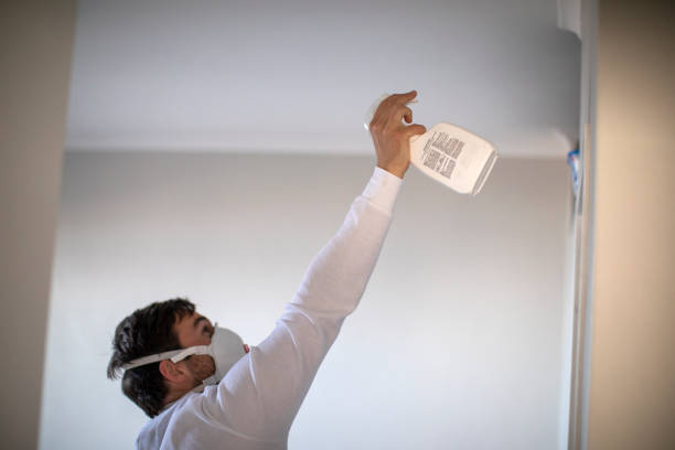 Best Attic Mold Removal  in Kingsland, GA