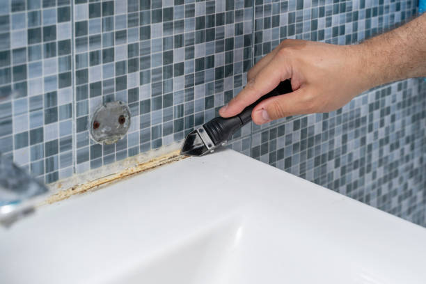 Best Mold Damage Repair  in Kingsland, GA