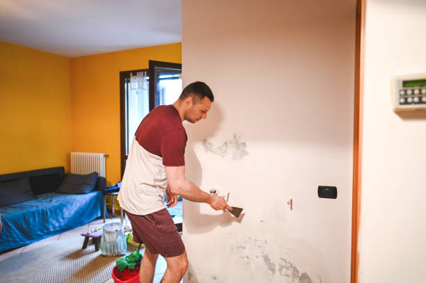 Best Mold Removal Near Me  in Kingsland, GA